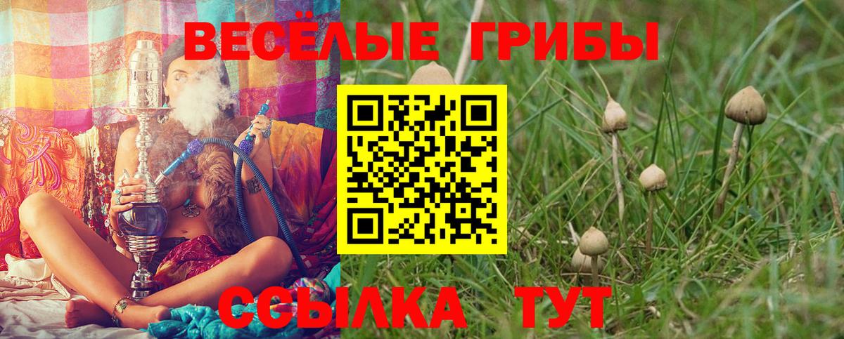 Дзержинский  Галлюциногенные грибы GOLDEN TEACHER  Вход с VPN 